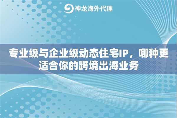 专业级与企业级动态住宅IP，哪种更适合你的跨境出海业务