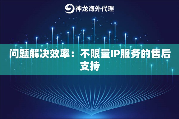 问题解决效率：不限量IP服务的售后支持