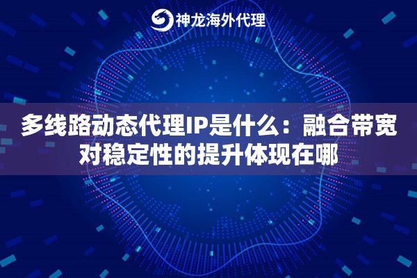 多线路动态代理IP是什么：融合带宽对稳定性的提升体现在哪