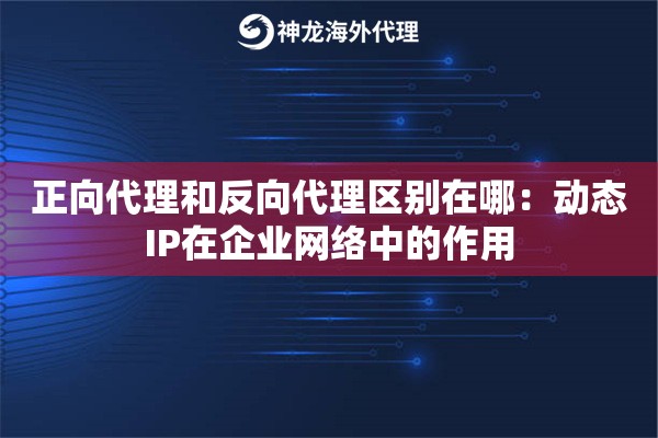 正向代理和反向代理区别在哪：动态IP在企业网络中的作用