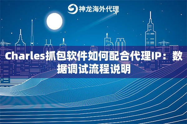 Charles抓包软件如何配合代理IP：数据调试流程说明