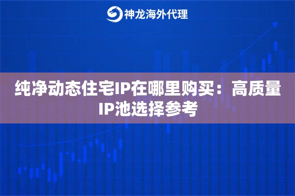 纯净动态住宅IP在哪里购买：高质量IP池选择参考