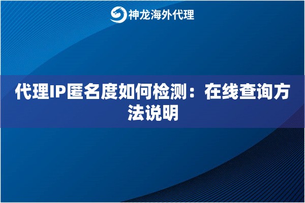 代理IP匿名度如何检测：在线查询方法说明