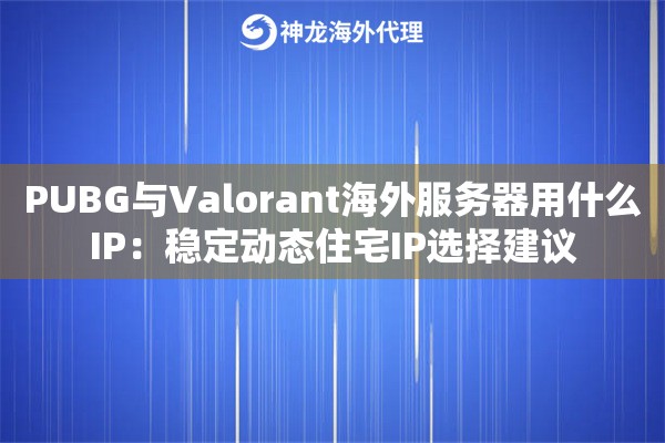 PUBG与Valorant海外服务器用什么IP：稳定动态住宅IP选择建议