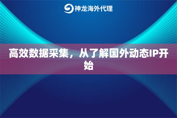 高效数据采集，从了解国外动态IP开始