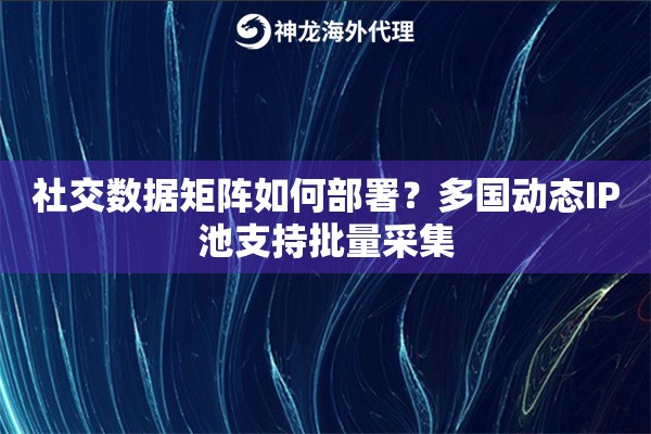 社交数据矩阵如何部署？多国动态IP池支持批量采集