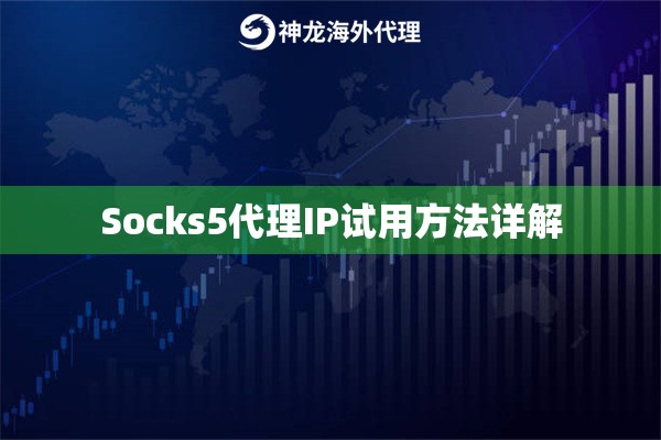 Socks5代理IP试用方法详解