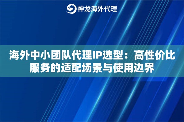 海外中小团队代理IP选型：高性价比服务的适配场景与使用边界