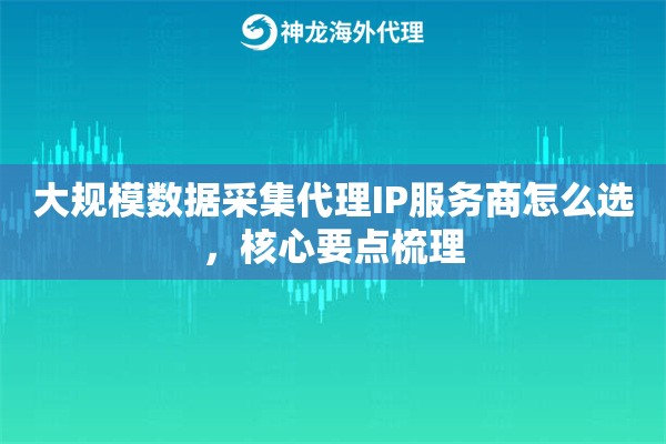 大规模数据采集代理IP服务商怎么选，核心要点梳理