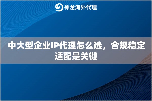 中大型企业IP代理怎么选，合规稳定适配是关键