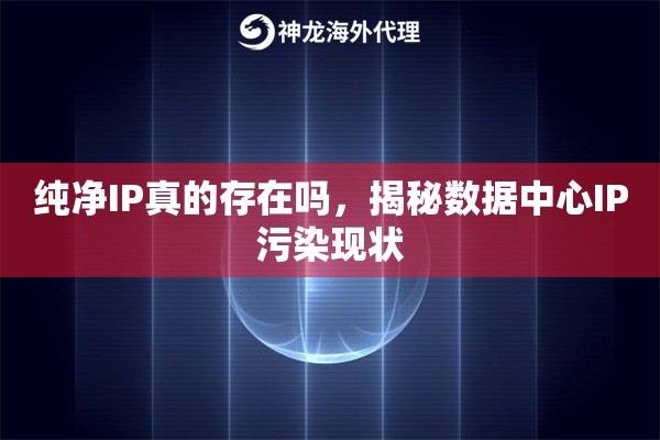 纯净IP真的存在吗，揭秘数据中心IP污染现状