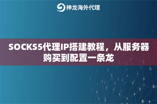 SOCKS5代理IP搭建教程，从服务器购买到配置一条龙