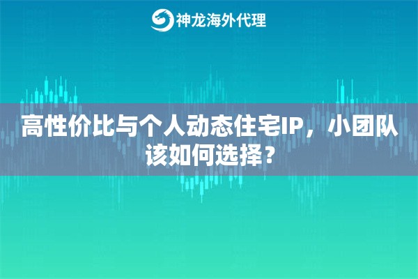 高性价比与个人动态住宅IP，小团队该如何选择？