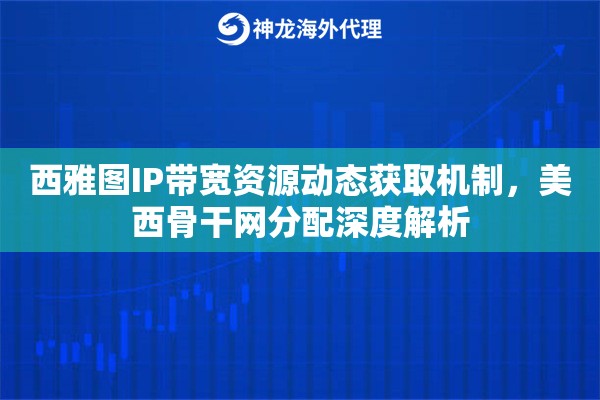 西雅图IP带宽资源动态获取机制，美西骨干网分配深度解析
