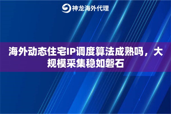 海外动态住宅IP调度算法成熟吗，大规模采集稳如磐石