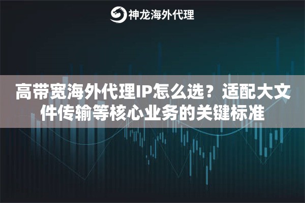 高带宽海外代理IP怎么选？适配大文件传输等核心业务的关键标准