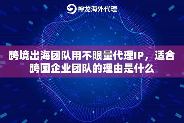 跨境出海团队用不限量代理IP，适合跨国企业团队的理由是什么