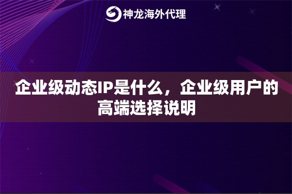 企业级动态IP是什么，企业级用户的高端选择说明