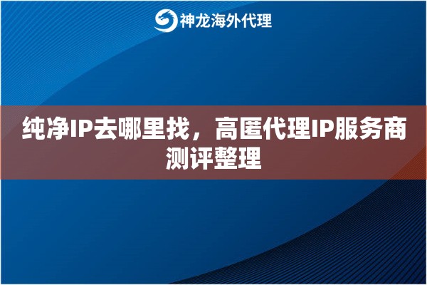 纯净IP去哪里找，高匿代理IP服务商测评整理