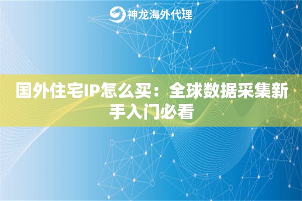 国外住宅IP怎么买：全球数据采集新手入门必看