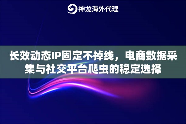 长效动态IP固定不掉线，电商数据采集与社交平台爬虫的稳定选择