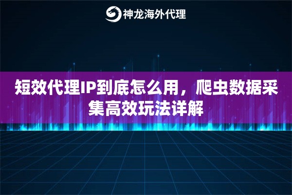 短效代理IP到底怎么用，爬虫数据采集高效玩法详解
