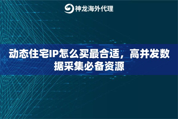 动态住宅IP怎么买最合适，高并发数据采集必备资源