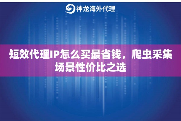 短效代理IP怎么买最省钱，爬虫采集场景性价比之选