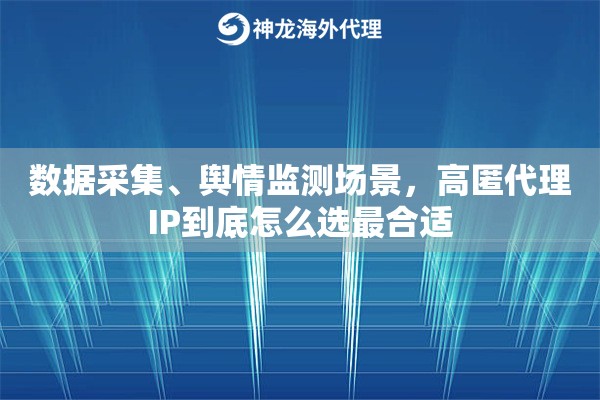 数据采集、舆情监测场景，高匿代理IP到底怎么选最合适
