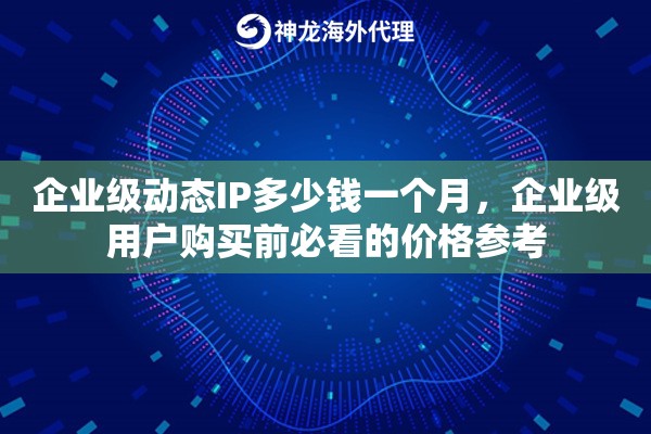 企业级动态IP多少钱一个月，企业级用户购买前必看的价格参考