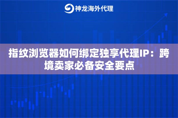 指纹浏览器如何绑定独享代理IP：跨境卖家必备安全要点