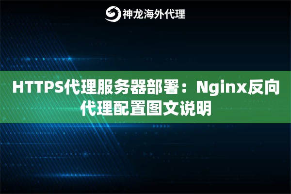 HTTPS代理服务器部署：Nginx反向代理配置图文说明