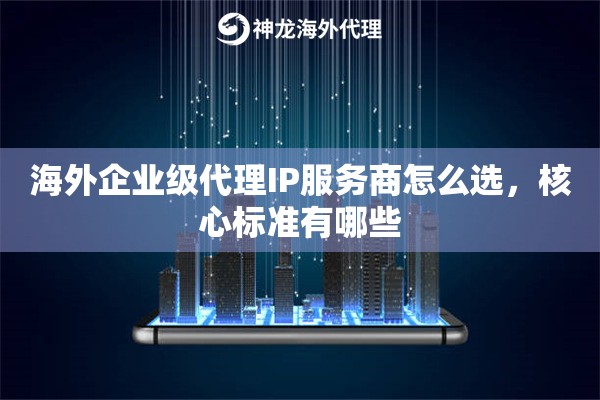 海外企业级代理IP服务商怎么选，核心标准有哪些