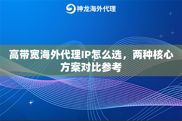 高带宽海外代理IP怎么选，两种核心方案对比参考