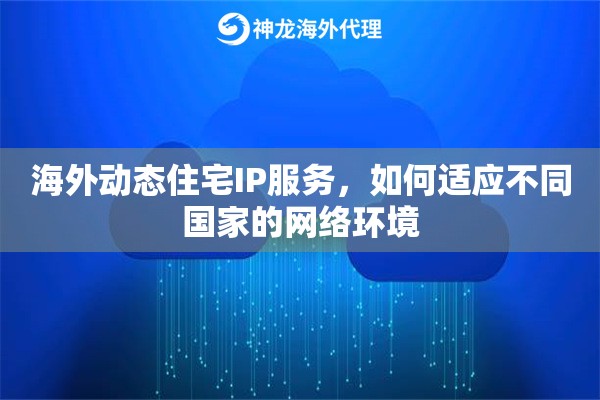 海外动态住宅IP服务，如何适应不同国家的网络环境