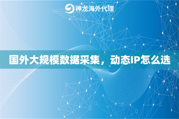国外大规模数据采集，动态IP怎么选