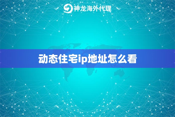 动态住宅ip地址怎么看