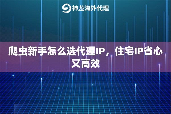 爬虫新手怎么选代理IP，住宅IP省心又高效