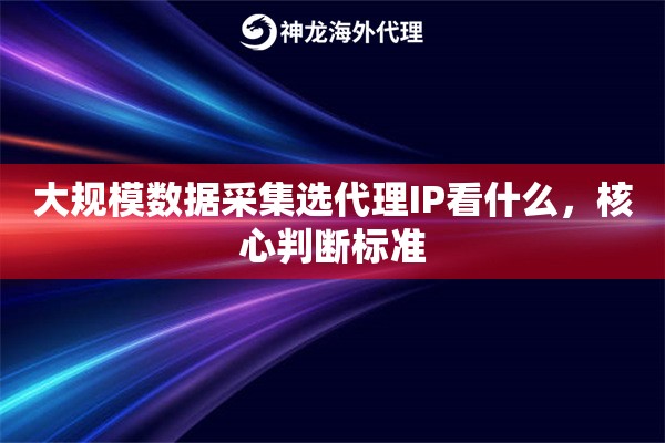 大规模数据采集选代理IP看什么，核心判断标准