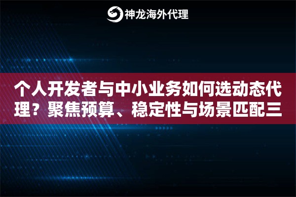 个人开发者与中小业务如何选动态代理？聚焦预算、稳定性与场景匹配三大核心