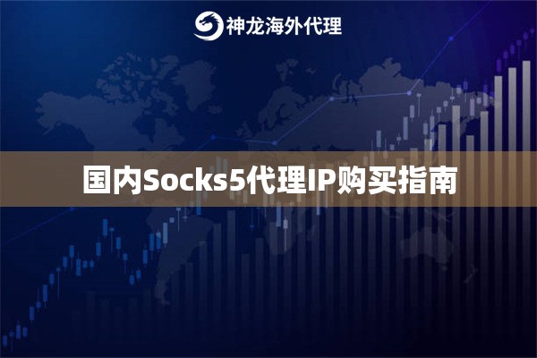 国内Socks5代理IP购买指南