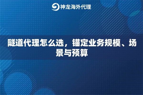 隧道代理怎么选，锚定业务规模、场景与预算