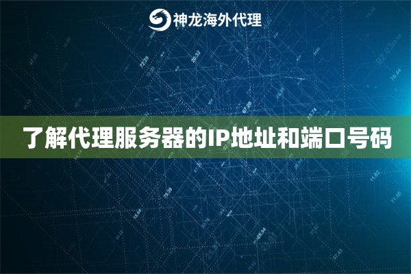 了解代理服务器的IP地址和端口号码