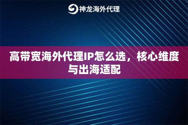 高带宽海外代理IP怎么选，核心维度与出海适配