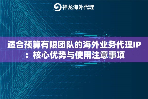 适合预算有限团队的海外业务代理IP：核心优势与使用注意事项