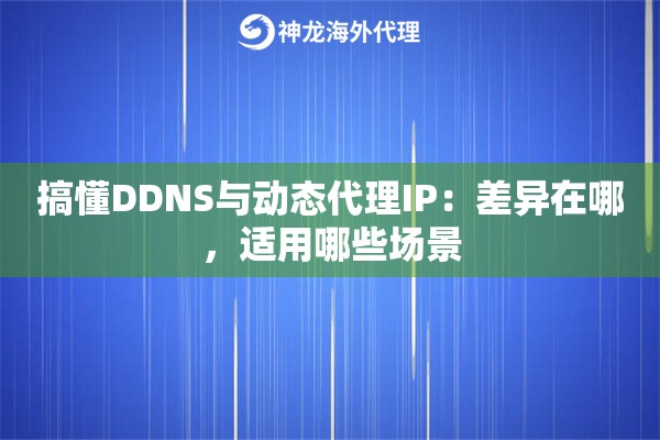 搞懂DDNS与动态代理IP：差异在哪，适用哪些场景