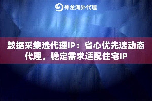 数据采集选代理IP：省心优先选动态代理，稳定需求适配住宅IP
