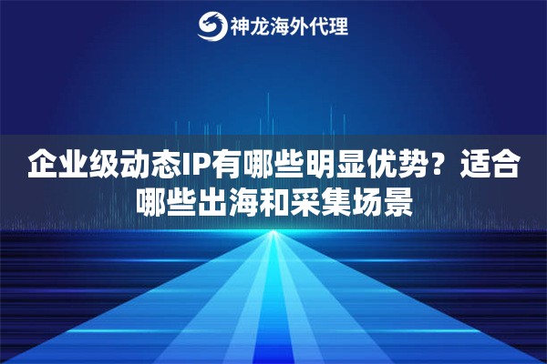 企业级动态IP有哪些明显优势？适合哪些出海和采集场景