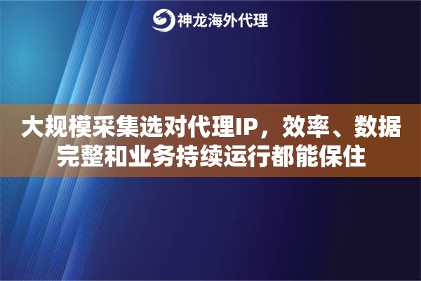 大规模采集选对代理IP，效率、数据完整和业务持续运行都能保住