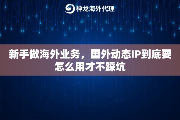 新手做海外业务，国外动态IP到底要怎么用才不踩坑